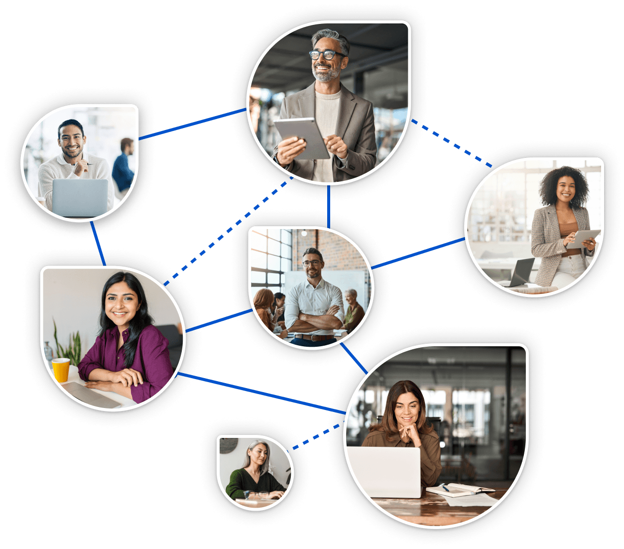 Network, final